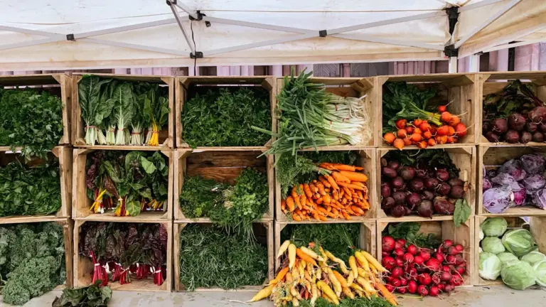 Frische Lebensmittel und Textilien: Markt in Dudweiler