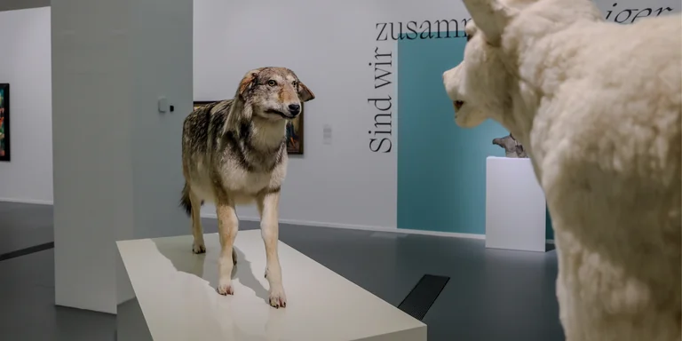 „let’s talk“ in Dortmund: Kunst erleben, Führungen buchen