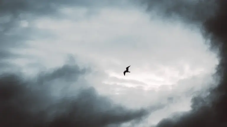 Vom Fliegen träumen: Freiheit, Kontrolle und Landung
